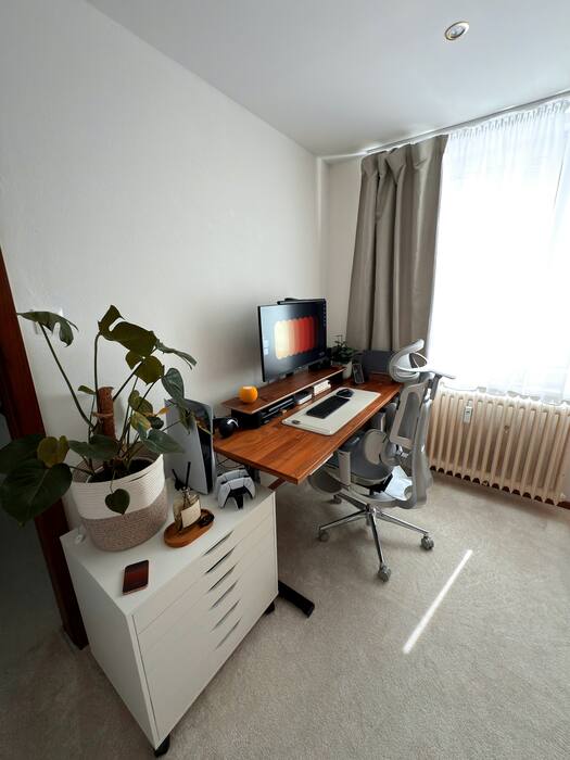Modern home office with computer and plant